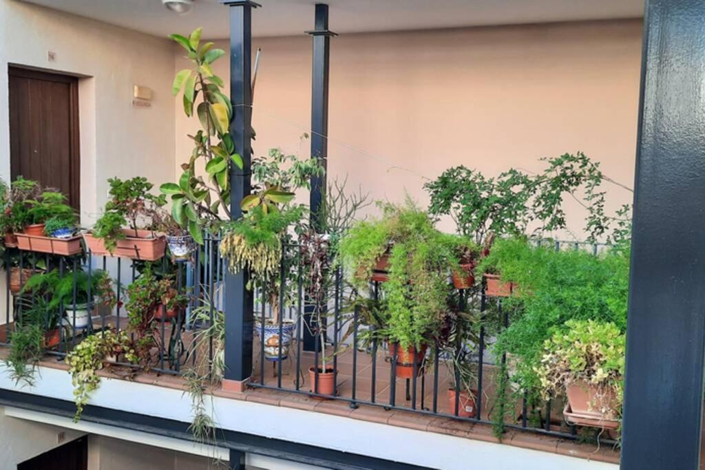 Triplex Penthouse - City Centre - Atico Con Jacuzzi Y Terraza Privados