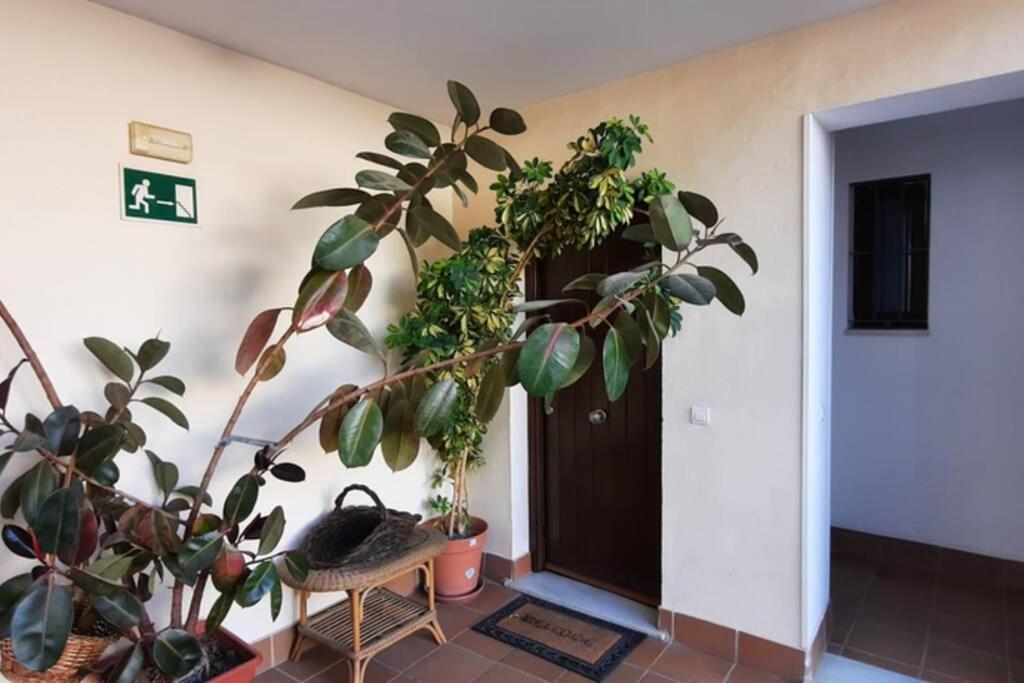 TRIPLEX PENTHOUSE - City Centre - Ático con Jacuzzi y Terraza Privados Sevilla